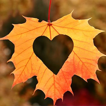 Estinea's tweet image. Soms is ons werk intens. Jacqueline's woorden geven in optima forma weer waar onze zorg en ondersteuning voor staat: Jouw leven, jouw kracht, onze steun. Óók als jouw leven mooier wordt wanneer je niet meer leeft. Lees haar verhaal hier: estinea.nl/werken-bij/pro… #doenwatertoedoet