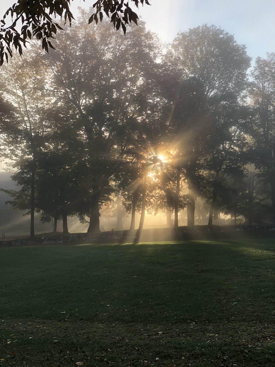 k_hansler's tweet photo. The most beautiful walk to work this morning. #LakefieldCollege https://t.co/eeLEDXfG6F