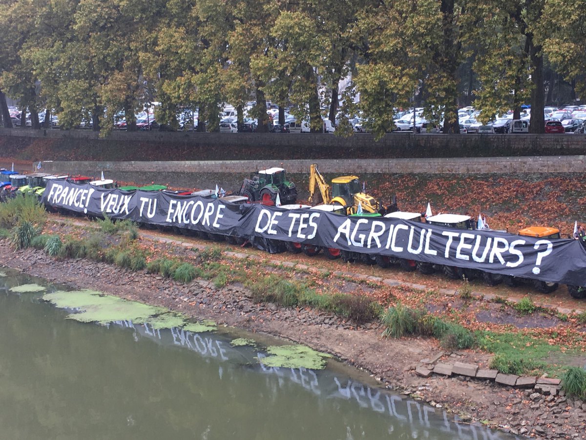 EHenryfdsea49's tweet photo. ⁦@FDSEA49⁩ ⁦@JeunesAgri49⁩ ⁦@anjouagricole⁩ ⁦@FNSEA⁩ ⁦@ChLambert_FNSEA⁩ https://t.co/8tNakvJpSy