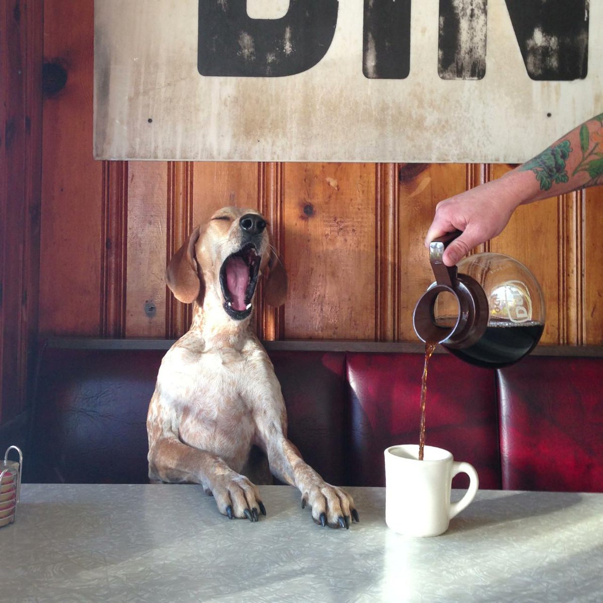 LifeServeBldCtr's tweet photo. Today's To-Do List: 
Wake Up ✅
Drink Coffee ✅
Eat a good meal ✅
Schedule your lifesaving apt ✅

#lifeserver #GiveLocal https://t.co/fRM7BBJTGp