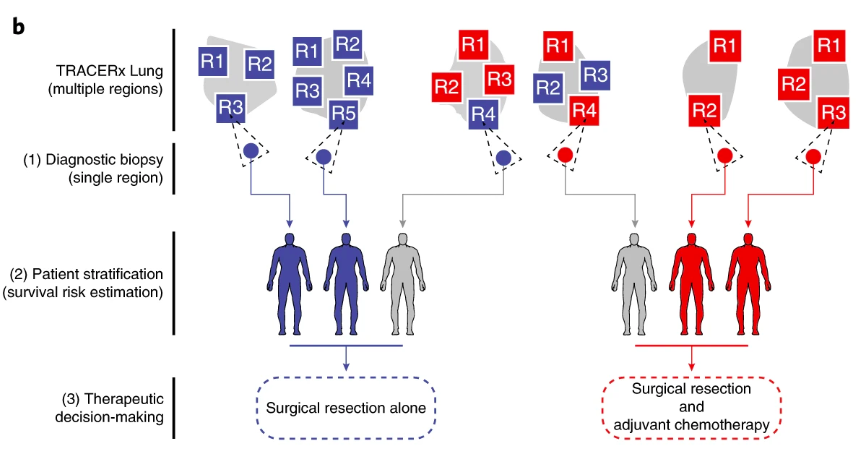 Nature Medicine (@naturemedicine) on Twitter photo We've got a trifecta of new #TRACERx papers this Tuesday! Intratumoral transcriptional heterogeneity can now be overcome with an approach for the identification of clonal expression biomarkers | go.nature.com/35p4zLk | #lungcancer <a href="/CharlesSwanton/">Charles Swanton</a> <a href="/NickyMcGranahan/">Nicholas McGranahan</a> We've got a trifecta of new #TRACERx papers this Tuesday! Intratumoral transcriptional heterogeneity can now be overcome with an approach for the identification of clonal expression biomarkers | go.nature.com/35p4zLk | #lungcancer <a href="/CharlesSwanton/">Charles Swanton</a> <a href="/NickyMcGranahan/">Nicholas McGranahan</a>