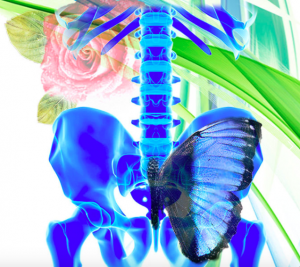 PELVIC BALANCE Lectures Series in Arizona &amp; Online barefootstrongblog.com/2019/10/08/pel…