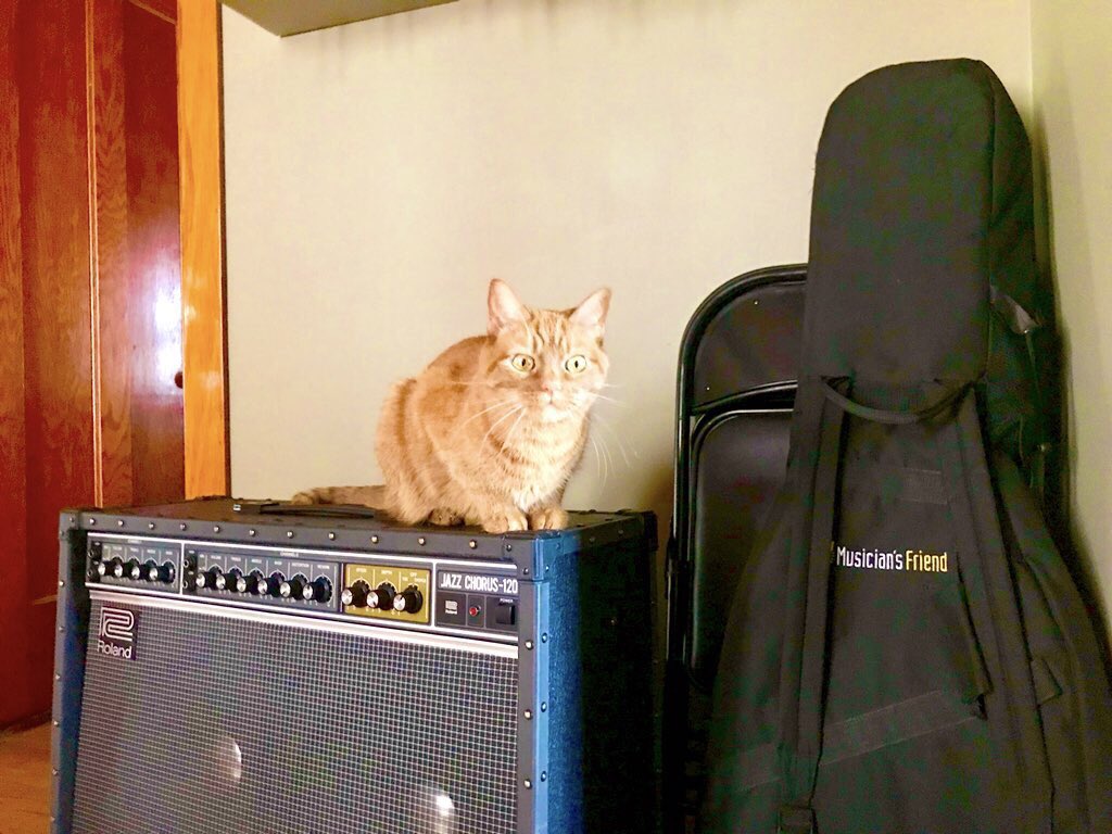 We’d like to respectfully give tribute to our late manager “Penny” who passed on Oct. 1st She will always be remembered for her management style. Thank you for loving us! &amp; our music😘 ❤️! #manager #catsthatmanage #catsincharge #catsnamedPenny #solemnmeantwalks #rrocktober