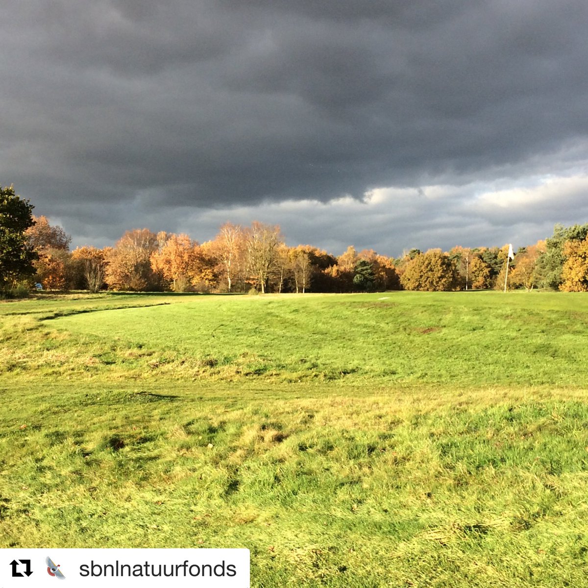 Splitagift's tweet image. Welkom @SBNLNatuurfonds bij #splitagift, onze 1e #charity die puur natuur gerelateerd is en zich inzet voor particuliere initiatieven re aanleg &amp;amp; beheer van natuur &amp;amp; landschap en #support van wetenschappelijk onderzoek. Dus binnenkort een #celebration? splitagift.com/charity/sbnl-n…