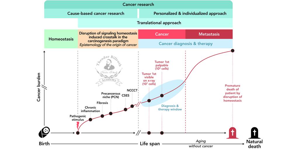 4openjournal's tweet photo. “This paradigm provides opportunities to move away from a symptom-oriented understanding of #cancer and is much closer to a cause-based understanding…” @BjoernBruecher and Ijaz S. Jamall https://t.co/UV3WMwPng5 https://t.co/CLDTm6flbQ