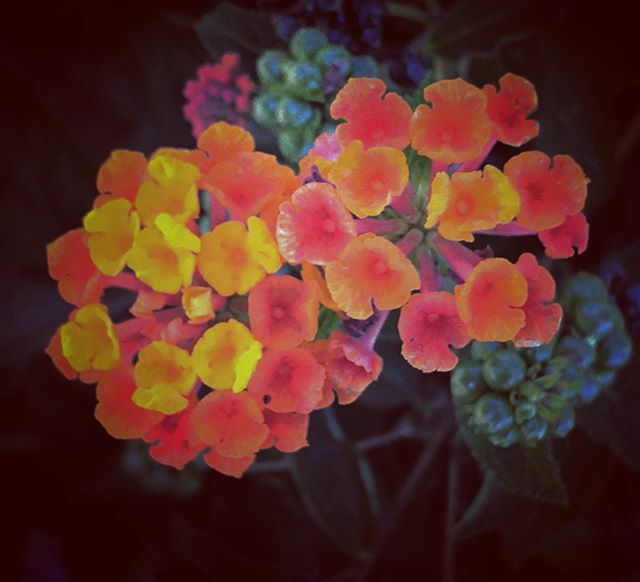 notico8's tweet photo. #twitter https://t.co/Kd7eicADDa https://t.co/P4ZZe3ipeK