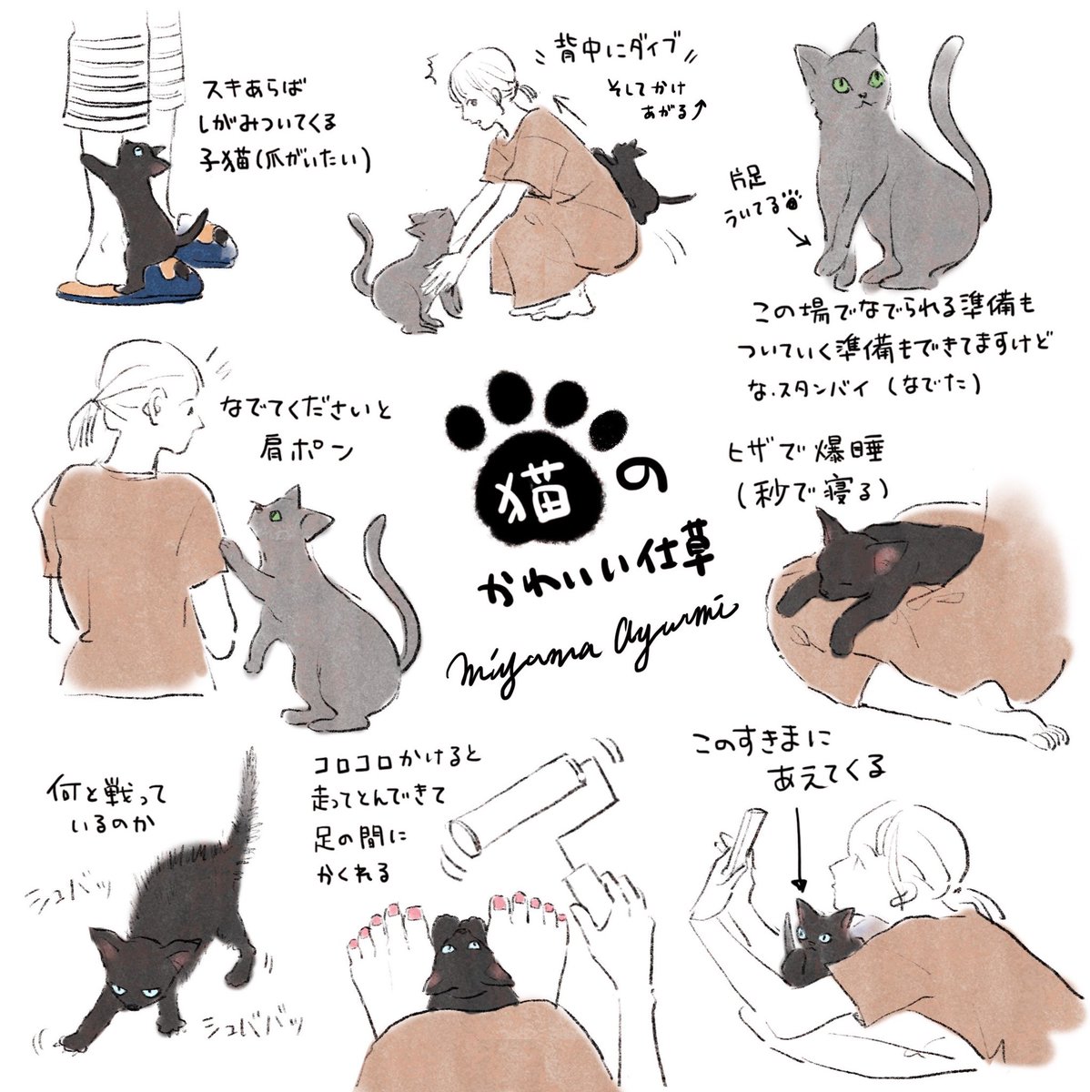 猫のかわいい仕草メモ 