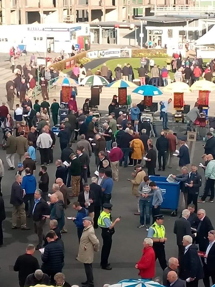 JoeSeward1's tweet photo. Everyone seems to love @Galway_Races whether it's @tensplenty1 @WillieMullinsNH Dermot Weld or The Mee Family
I know two men headed up today from Cork who never miss any meeting here & milk cows before they go ..They deserve the freedom of Ballybrit
#EverPresents
#Galway . https://t.co/9rxz73Ya77