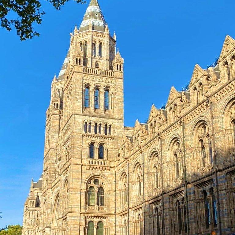 projectpower_'s tweet photo. Second week on site at our outdoor office @NHM_London as part of the @NHM_IceRink install team, supplying #eventspower across the entire festive site! The countdown to 🎅 is on!

Cc @nhm_venuehire @arena_ukeu @IMG #eventprofs https://t.co/aVuPr6cKed