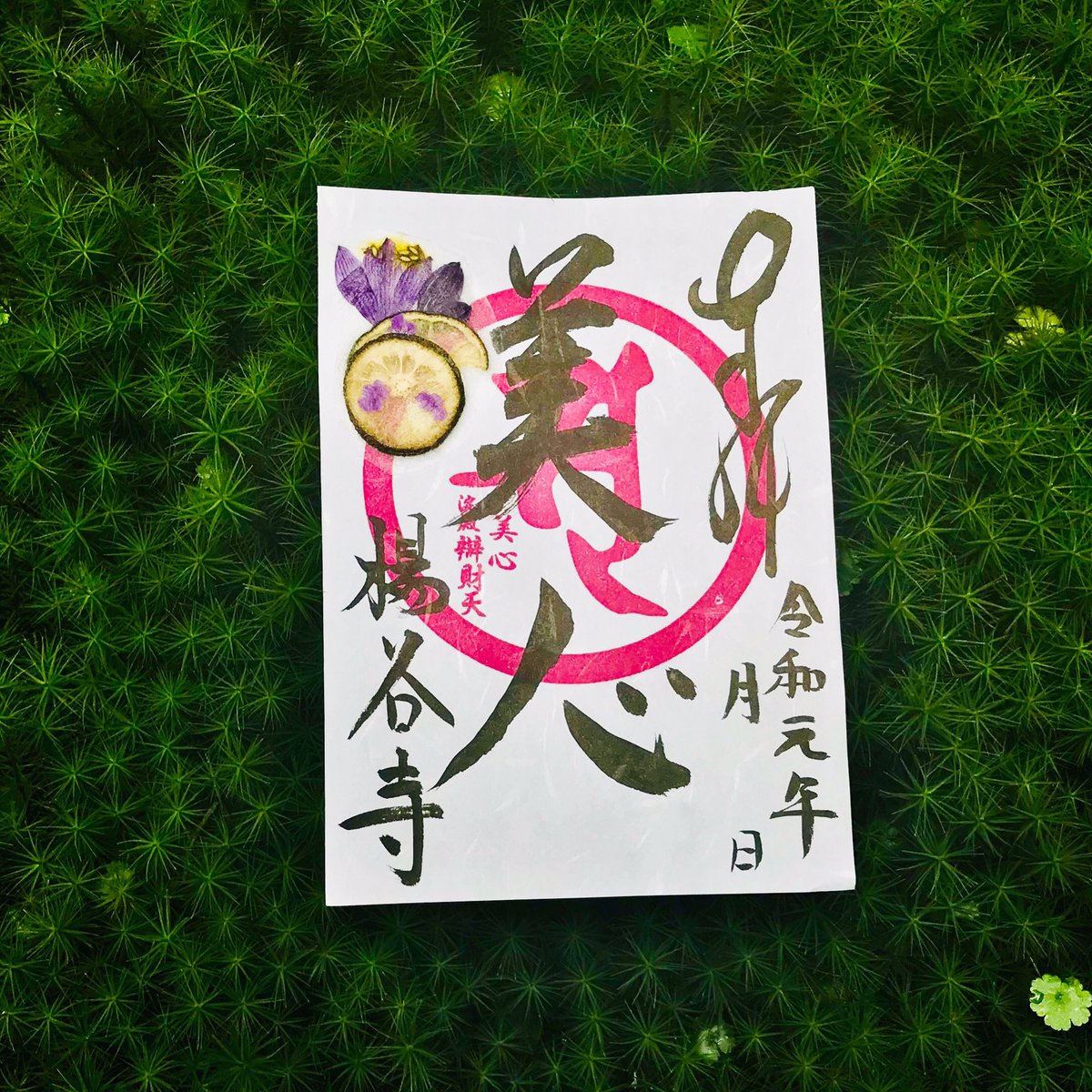 ট ইট র 眼の観音さま 柳谷観音 楊谷寺 10 17 押し花朱印 今月の御朱印は 草花ではなく 淀殿弁財天様にあやかって美肌効果や新陳代謝に良いとされるすだちがあしらわれています 心身共に健やかで美しくとの願いが込められています 枚数限定です