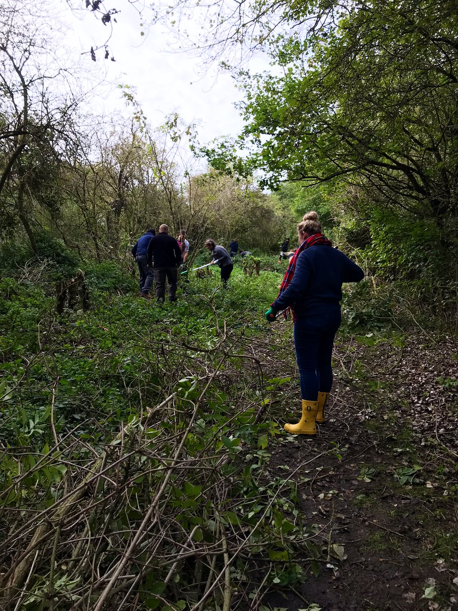 CEDIA_EMEA's tweet photo. Today the CEDIA team are out volunteering for Priory Country Park in Bedford for our day of service! We are clearing pathways and helping to make way for new tree growth #givingback #volunteering https://t.co/Ftw035kJ03