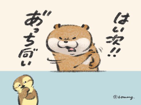 悔しいとかじゃないの‼️【続/あっち向いてホイ】
#カワウソ 