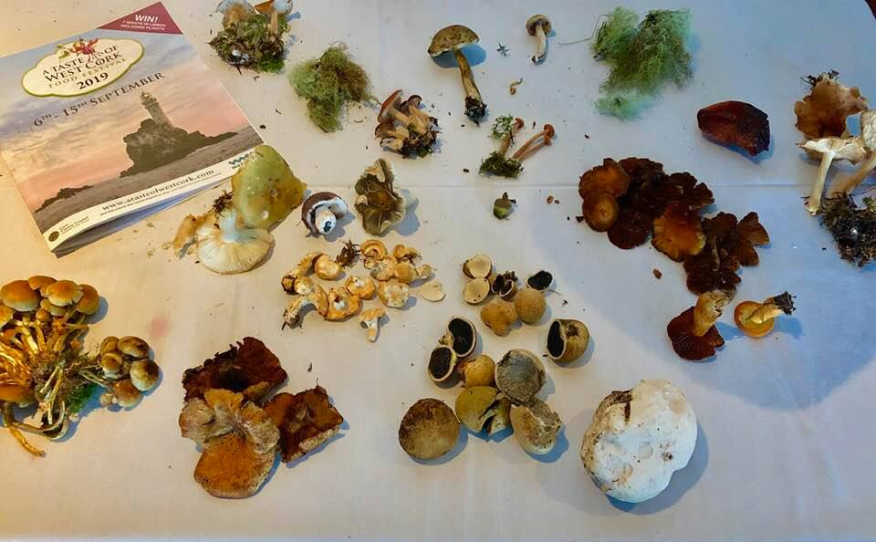 | WILD MUSHROOMS FORAGING | 
🌱🍄👀🍄🌱
Visitors foraged for mushrooms w/ Irish mycophagist, Bill O’Dea &amp; enjoyed a fantastic dinner prepared by chef Mark Johnston from @BearaCoast. Another unforgettable event from this year's festival.

#ATasteofWestCork #TastetheIsland