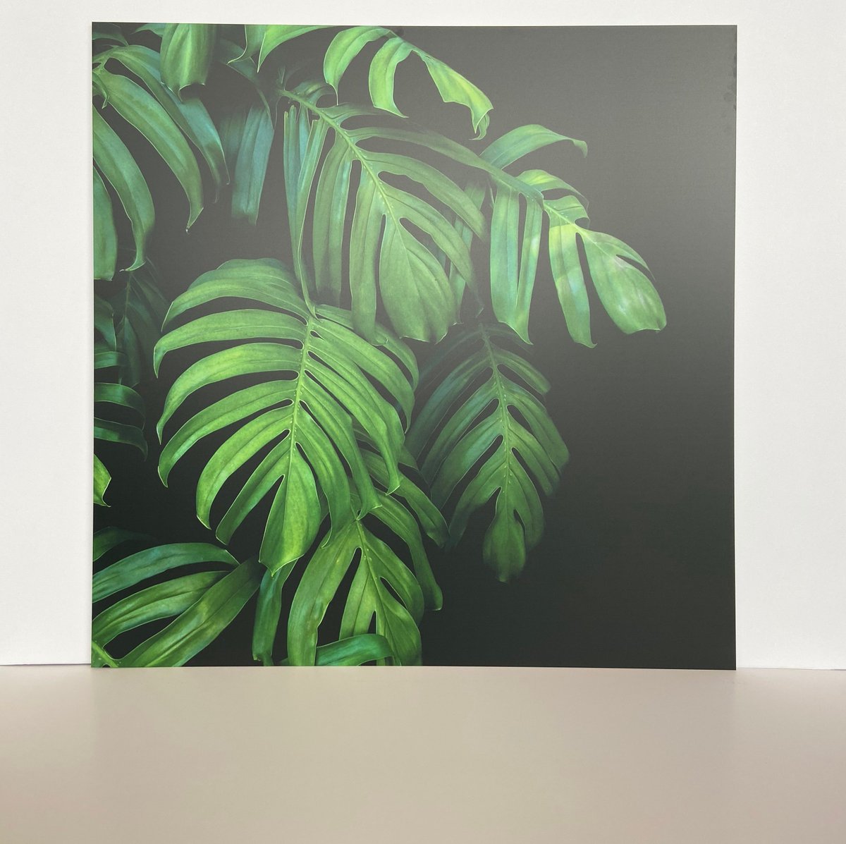 citoamsterdam's tweet photo. WANDDECORATIE;

Geprint op Dibond 3mm.

Voor meer informatie: bezoek onze website;
https://t.co/mNJ52sArIl

Ook kunt u ons altijd telefonisch bereiken;
+31 (0)20 494 13 64 https://t.co/xUMelyhnO2