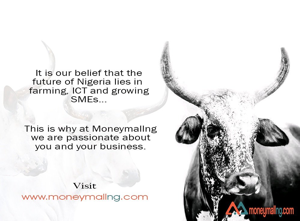 Growing small and medium scale businesses is at the heart of our drive for a sustainable Nigeria.
Visit us today at moneymallng.com for more details