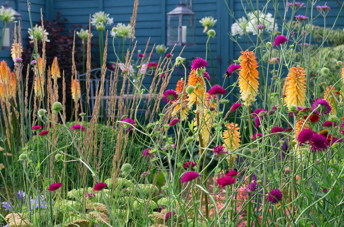 Kate & Tamara tweet media