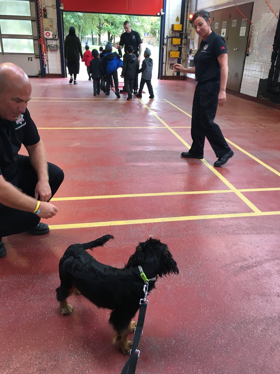 Stand in Jyn did a cracking job today at @Wton_fire with a group of approx 60 school children. #FireSafety and #DogSafety messages delivered!!
#DogAwareness #DogBitePrevention