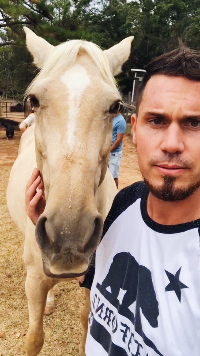 plntpwrdpete's tweet photo. Two sanctuaries in one weekend is enough to make you start your own... 🤩 Noelia and I made so many new friends! We got to hang out with some humans too! 😆 
Animals are innocent and vulnerable like a child.
Please love them! Don’t eat them! https://t.co/tHh2VXdBB4