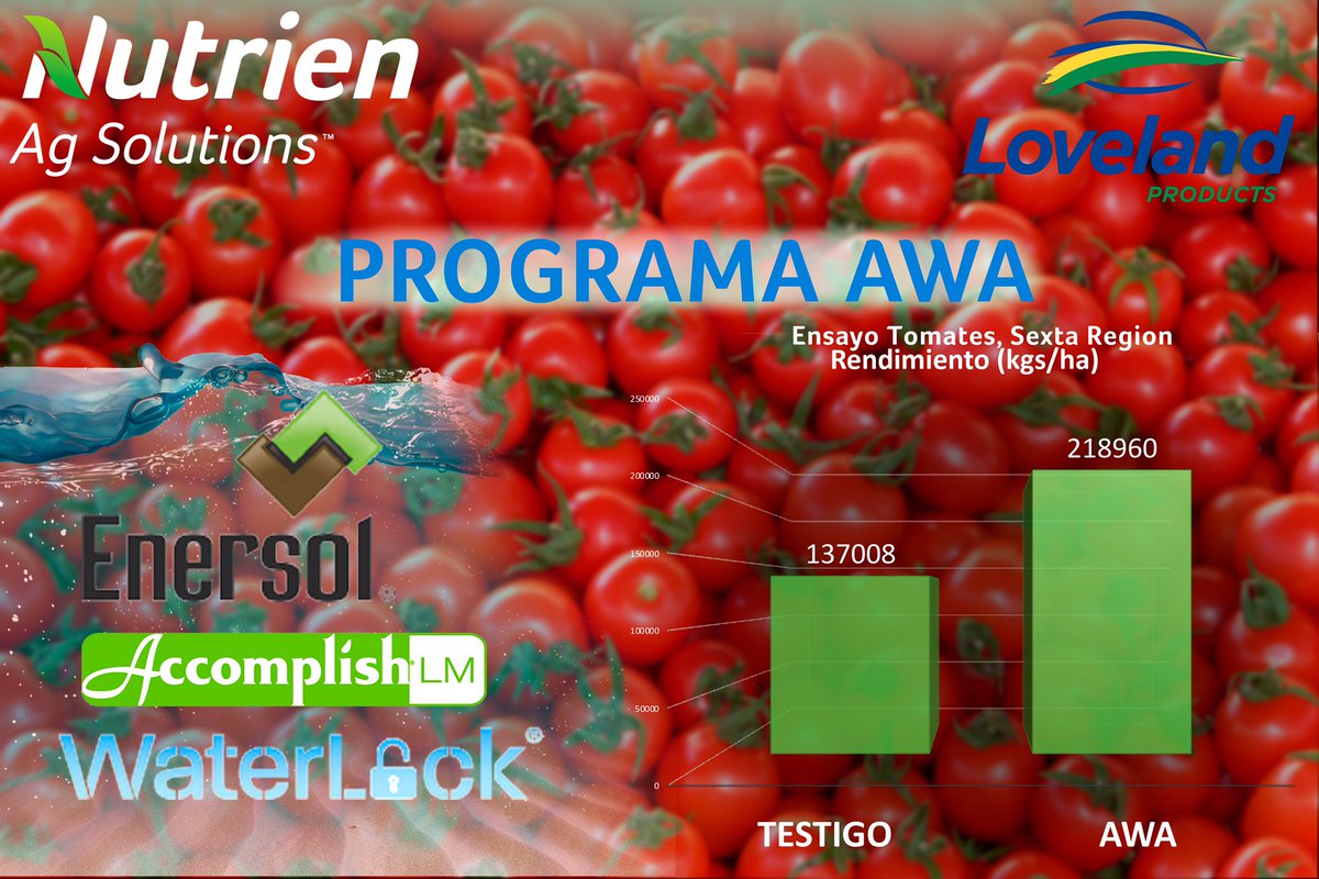 Nutrien_CL's tweet photo. Programa AWA, el mejor aliado para hacer un uso eficiente del agua protegiendo su inversión. Agregue valor a sus cultivos con las tecnologías de Nutrien.
#nutrien #nutrienagsolutions#feedingthefuture
#nutrientes #awa #programaawa #enersol #waterlock#accomplish https://t.co/L7txEQ1RZn
