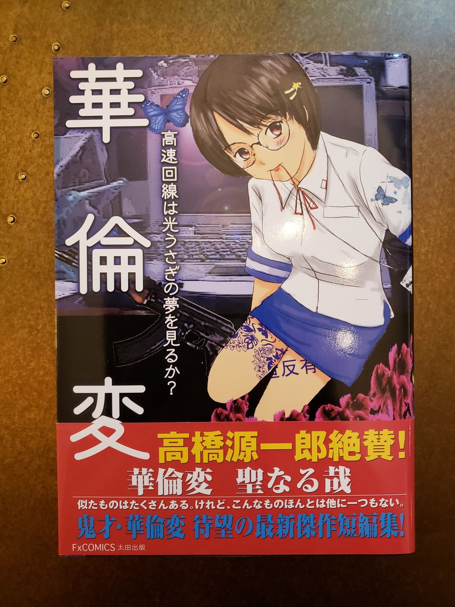 高速回線は光うさぎの夢を見るか