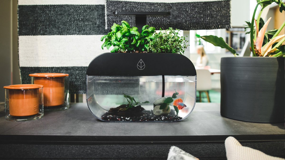 Ecobloom tweet media