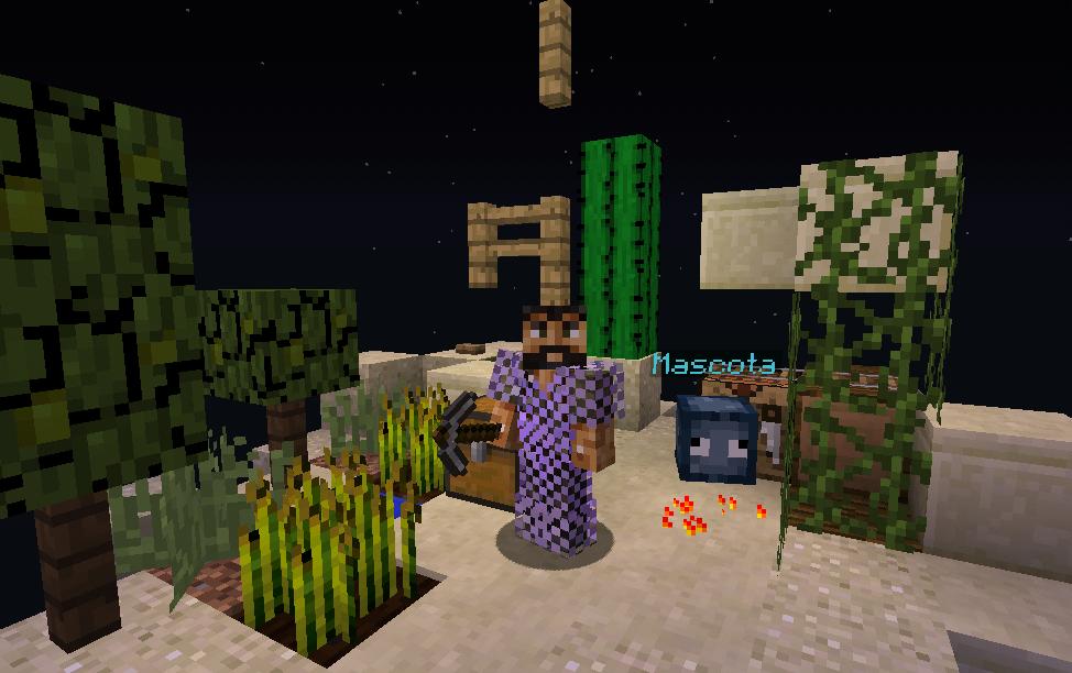 ¡Tienda de Tokens actualizada, Nuevas Islas, Nuevo Disfraz y Mascotas en SKYBLOCK!