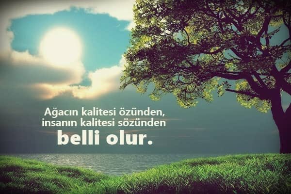 BraCansn's tweet photo. https://t.co/5B9kwljt4m