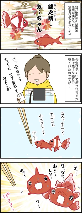 金魚可愛いよ金魚。 ブログはこちら→ https://t.co/kWi4a2Lynj 