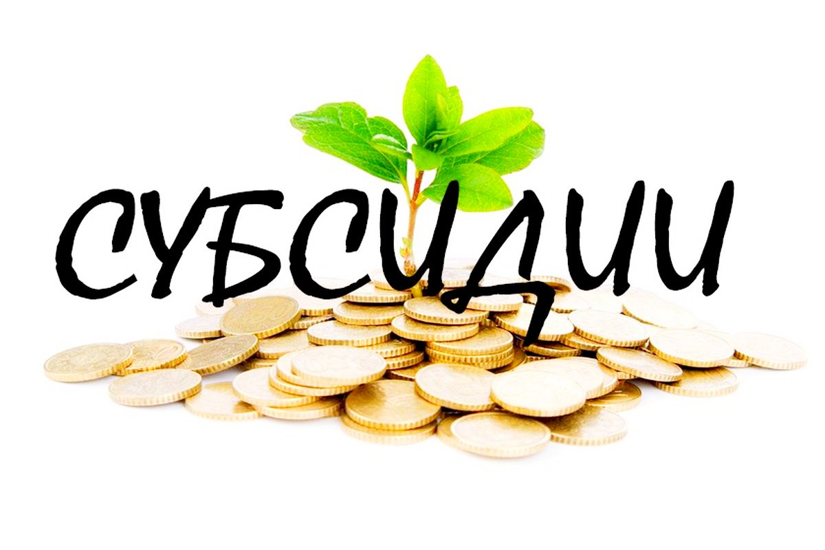 ‼Внимание‼❗
с 07 по 18 октября-приём заявок  на субсидию на финансовое обеспечение  части затрат, связанных с ремонтом находящихся в пользовании муниципальных помещений.
Доп. инф. по тел. 27-05-23 или на нашем сайте ulcrp.ru/финансовые-мер…
#ul_crp73 #ulsk #бизнес #консультации