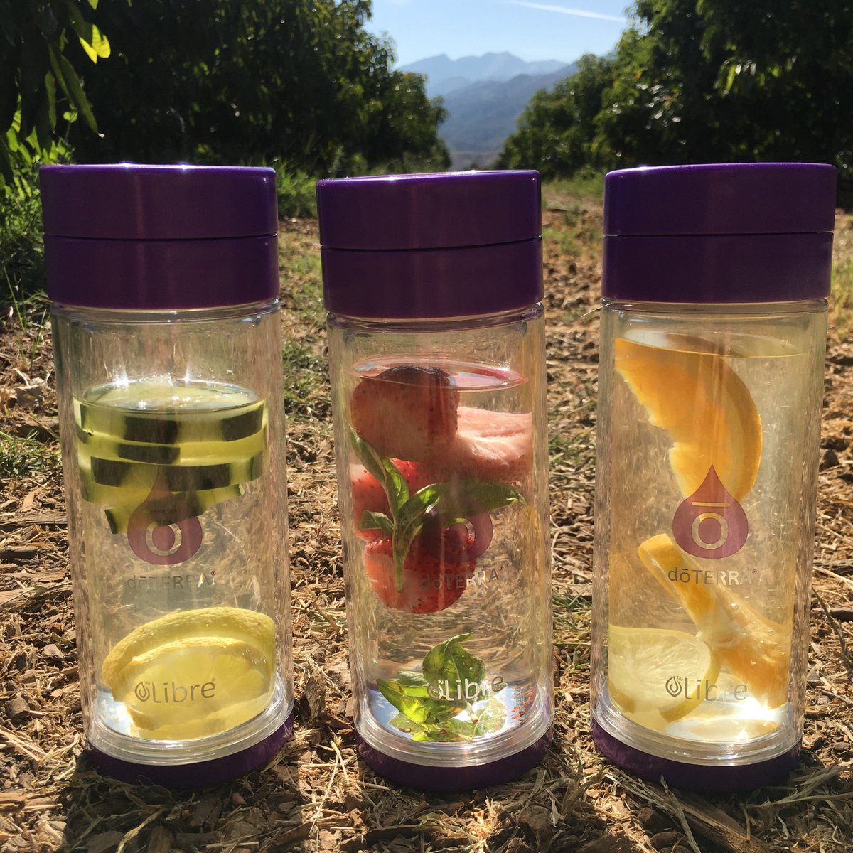 libreglasstogo's tweet photo. Never regret a day in your #life, experience the #good days with #libretea reuseable #fruitinfusedwater bottle.

visit https://t.co/dEyM8B7kiL to find out more

#life #beautiful #happy #love #bestoftheday #followforfollow #likeforlike #glass #follow #cute https://t.co/Bc48SoIZiN