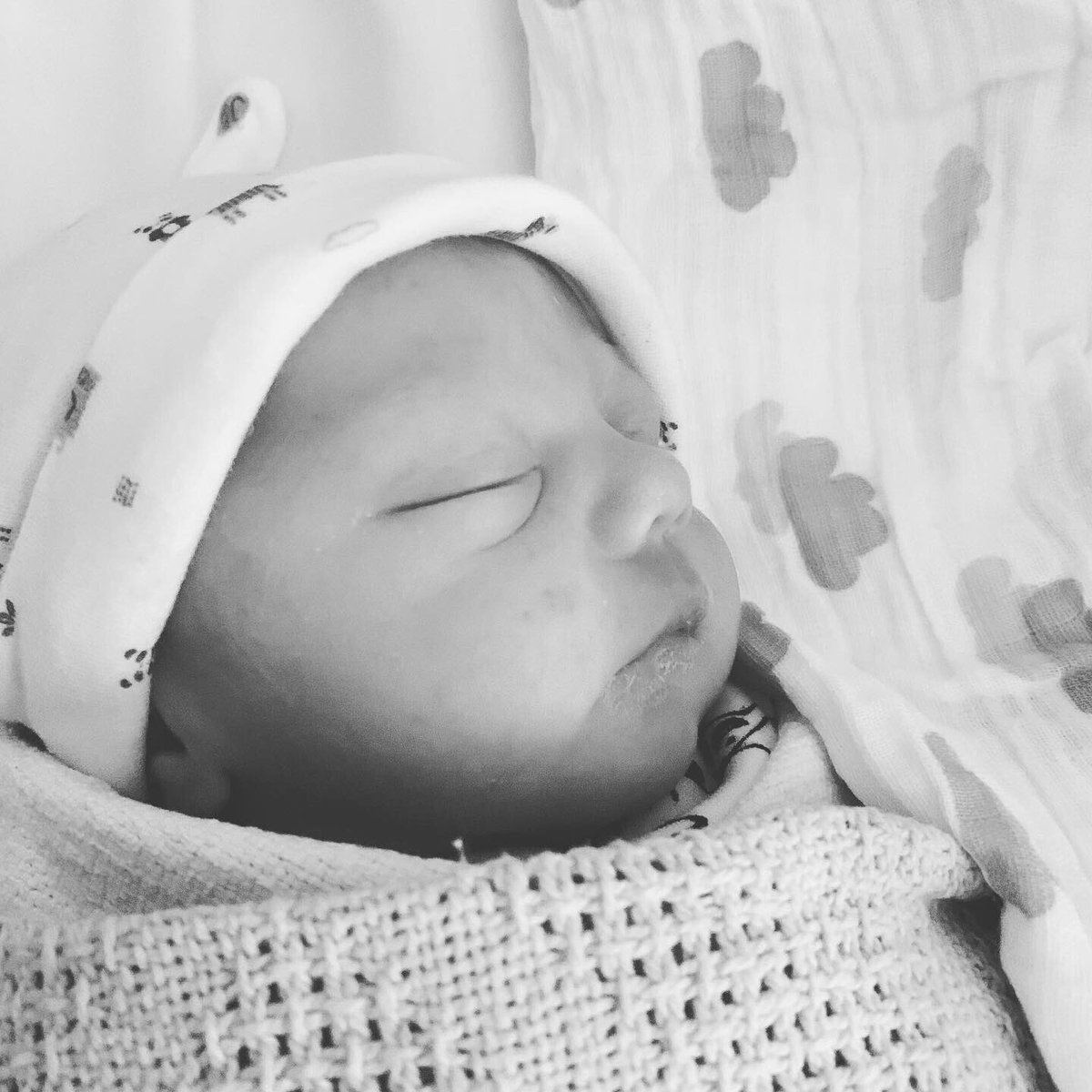 StLukes_AtHome4's tweet photo. Sorry for the long hiatus! I’ve been a little busy... Oscar born 14/6/19 💕  with lots of help from our amazing NHS! Lola 🐾 is in love with her baby brother 🥰 #NHS #Forevergrateful #newbaby #thankyouNHS #boyandhisdog https://t.co/J6Z8FEDWGW