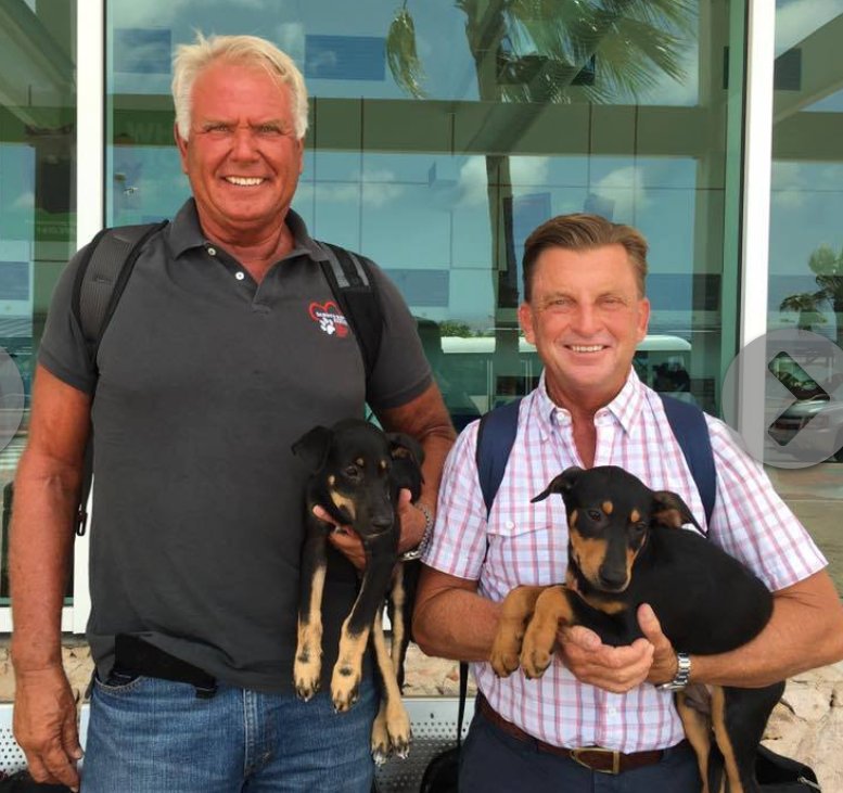 danny and ron's dog rescue