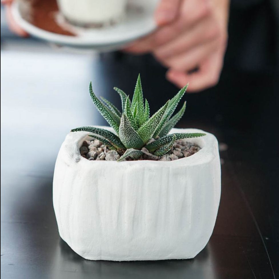 Yanire Sylva Delgado tweet media