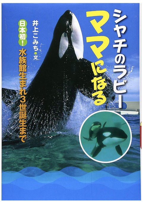 鴨川シーワールド の評価や評判 感想など みんなの反応を1時間ごとにまとめて紹介 ついラン