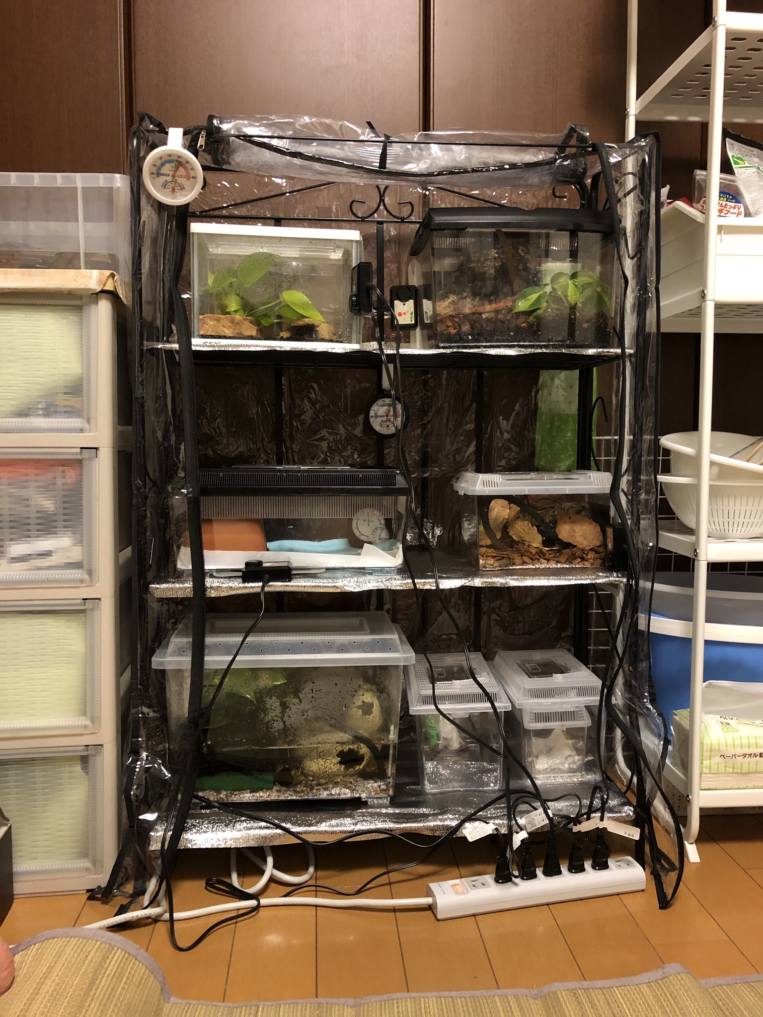 爬虫類用飼育棚×保温カバー★アルミ棚とウォームカバー★爬虫類のマンション♪ 00206_1.jpg?fitin=272:272