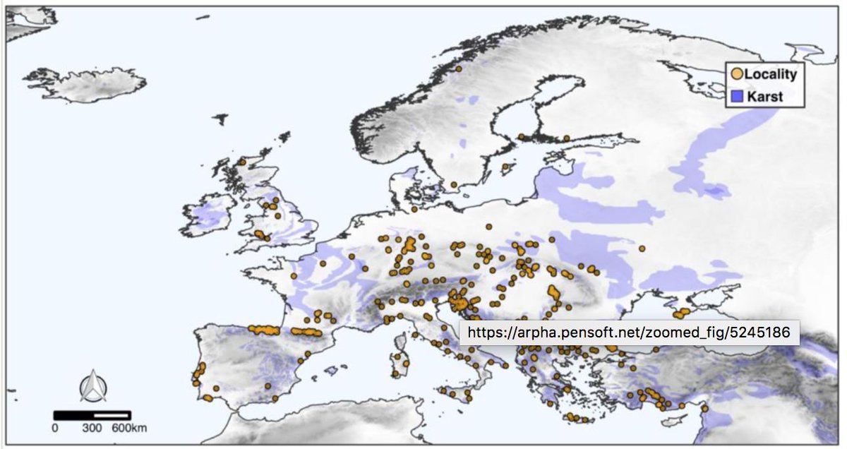 After 2 years of work of the 30 CAWEB team members (<a href="/Italian_Spiders/">Italian Spiders</a>,<a href="/cardosopmb/">Pedro Cardoso cardosopmb.bsky.social</a>,<a href="/pavlek/">Pavel Kozlov</a> et al.), the first continental database of subterranean #spider communities is finally out in <a href="/BioDataJournal/">BDJournal</a>: bdj.pensoft.net/article/38492/ Hopefully it will foster some subterranean macroecology!