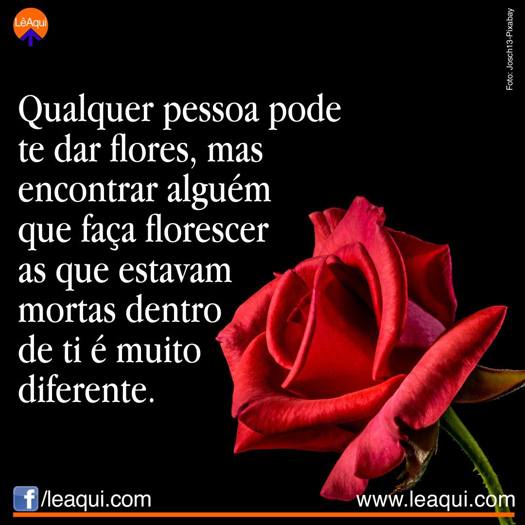 Floricultura Cherry on Instagram, image size:1080x1080