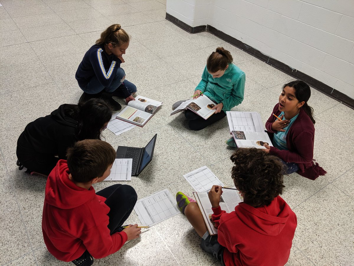 Team M6D tweet media