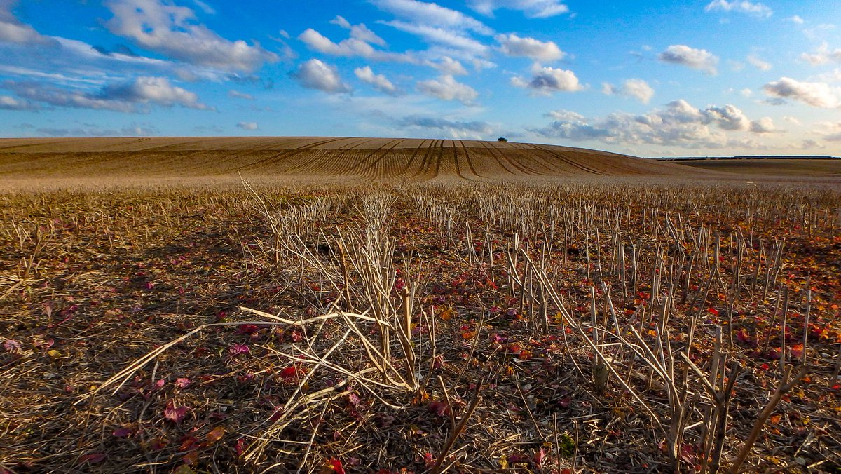 ApertureF2's tweet image. Nice Out, today!  Around Wetwang, Yorkshire Wolds.