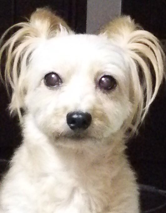 Twitterのコスプレ画像7