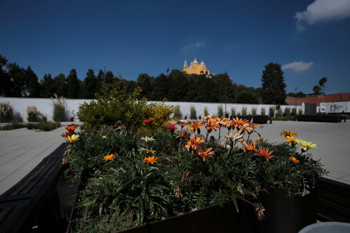 ParquesPuebla's tweet photo. La explanada del #ParqueCholula tiene una vista privilegiada al Santuario de Nuestra Señora de los Remedios, instalado sobre la gran pirámide.
📍 14 poniente 501, San Miguel, San Andrés Cholula; Pue. https://t.co/d0wrt3V6iH