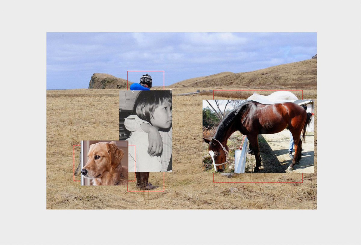 philippschmitt's tweet image. I wrote an editorial essay for my #HumansofAI project: on declassification, common objects, logic, dogs, and people. Read it here: humans-of.ai/editorial