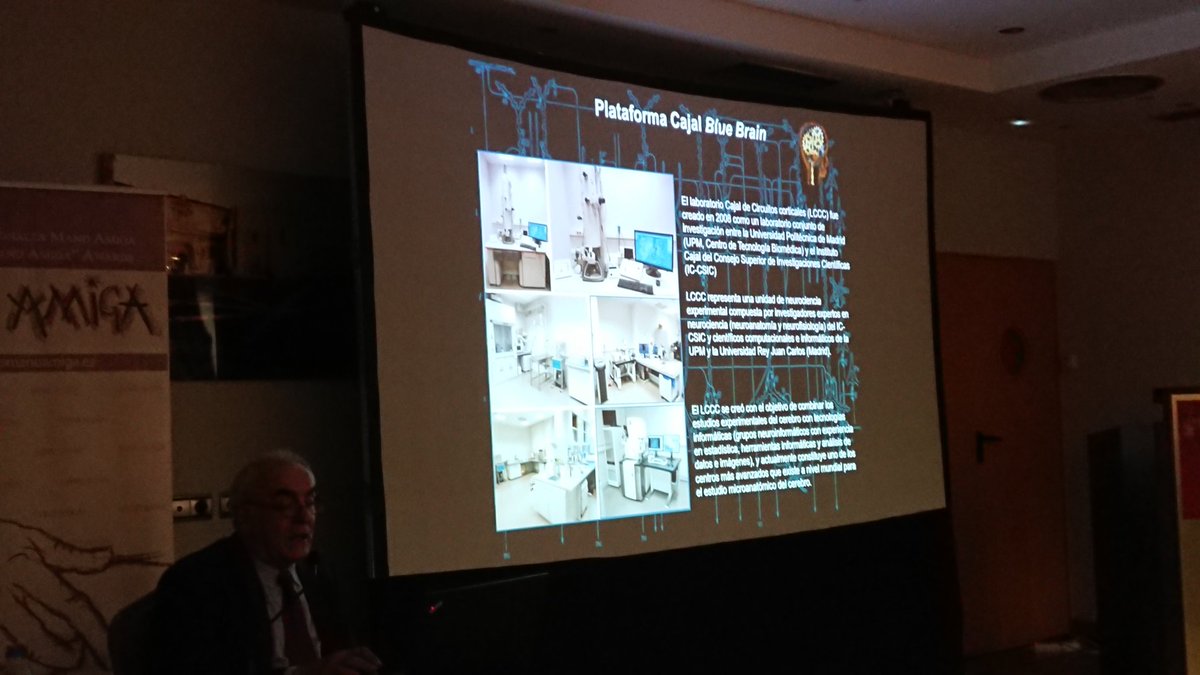 InfoFpumsa's tweet photo. "El objetivo de nuestro equipo ahora es tener capacidad multidisciplinar, y desarrollar tecnología para acelerar el estudio del cerebro" @javier_defelipe #Alzheimer #LeonES https://t.co/XPgWs067D0