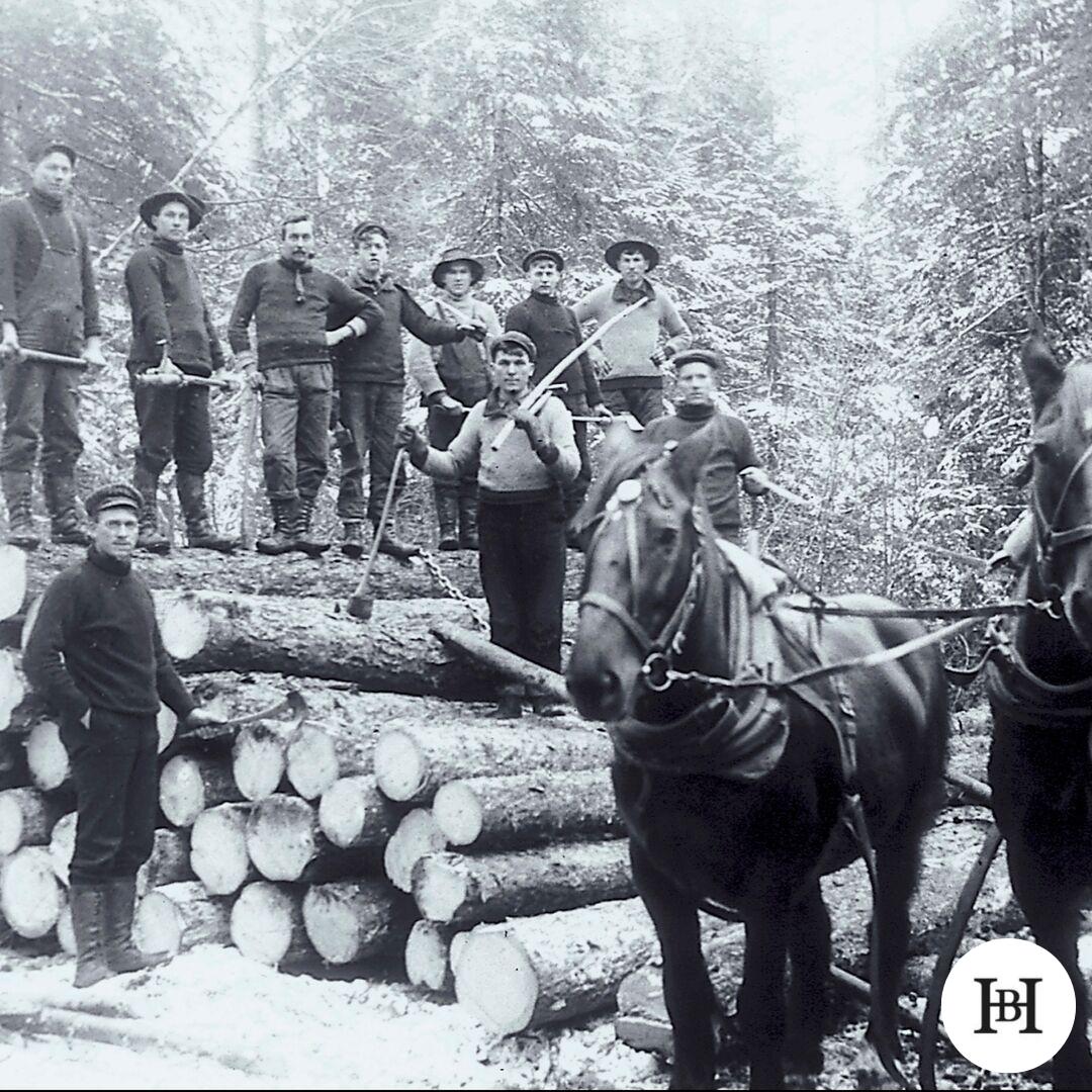 borderuk's tweet photo. Oh the good old days! 

This is how it use to be done... a lot blood, sweat and tears. 

#Lumberjacks #Hardwood #Wood #Oak #Timber #Throwback #BorderHardwood https://t.co/a83bmXFcda