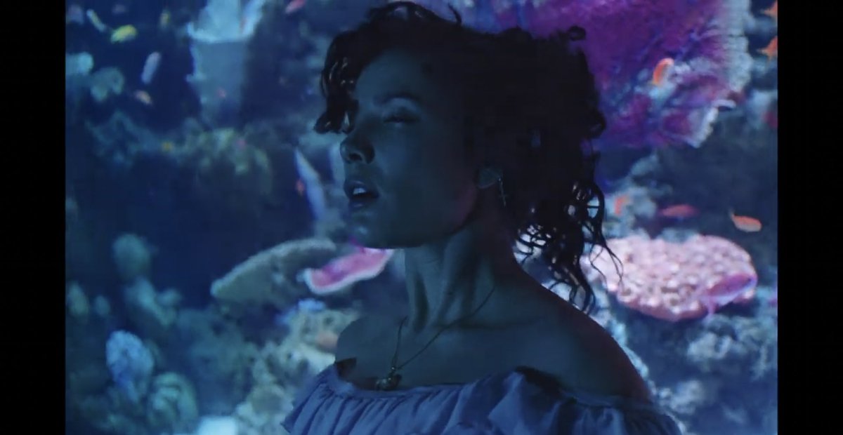 clementine music video halsey what aquarium