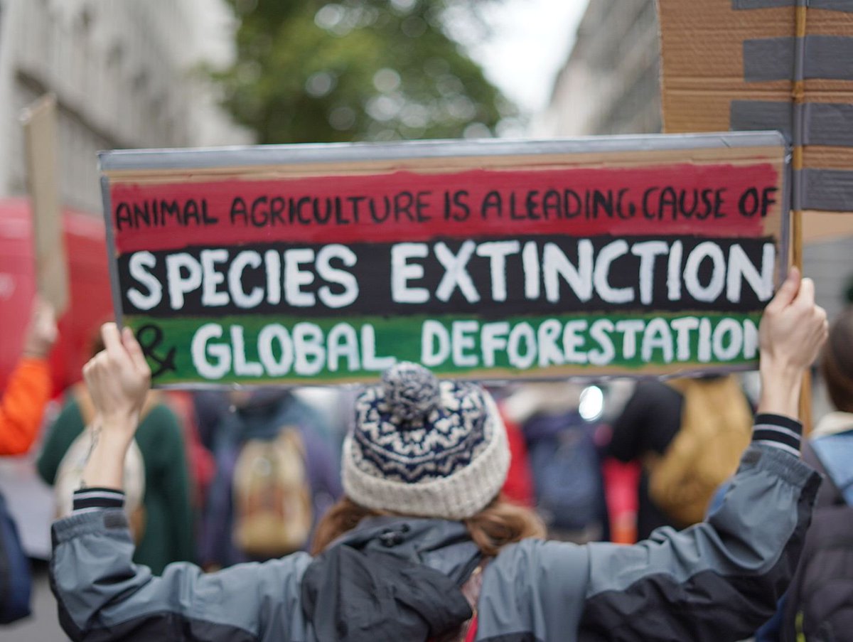 Sentient_Media's tweet image. Activists with @RebelsAnimal &amp;amp; @ExtinctionR continue to peacefully occupying the streets of London.

The purpose is to impel the government to address the destruction caused by industrialized animal farming &amp;amp; fishing, and to urgently act against the #ClimateEmergency. ✊