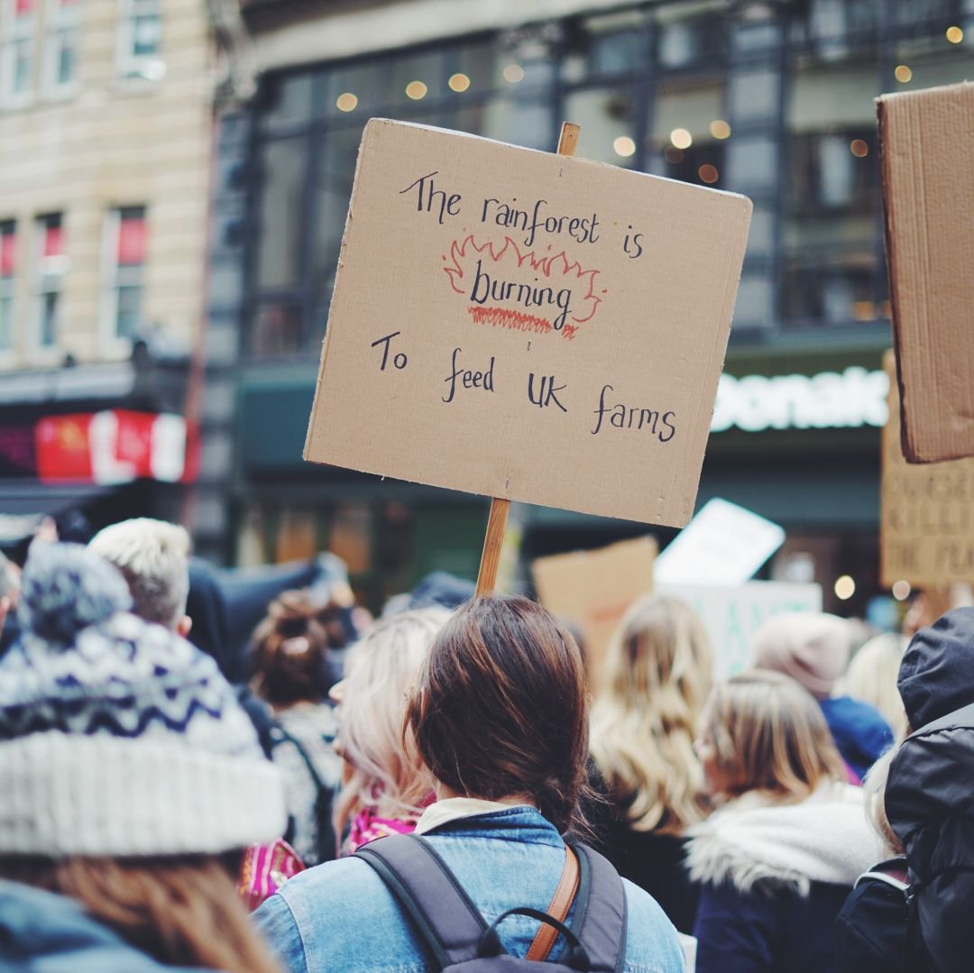 Sentient_Media's tweet image. Activists with @RebelsAnimal &amp;amp; @ExtinctionR continue to peacefully occupying the streets of London.

The purpose is to impel the government to address the destruction caused by industrialized animal farming &amp;amp; fishing, and to urgently act against the #ClimateEmergency. ✊