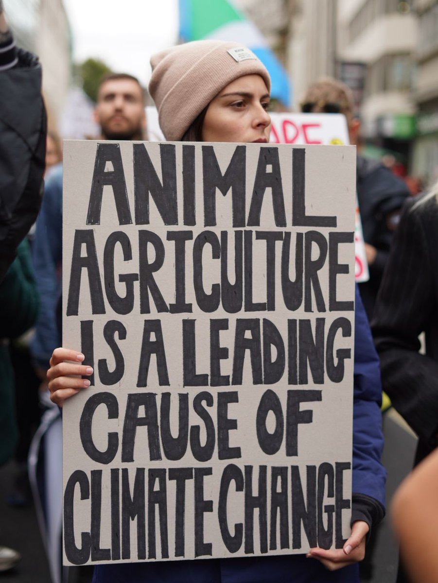 Sentient_Media's tweet image. Activists with @RebelsAnimal &amp;amp; @ExtinctionR continue to peacefully occupying the streets of London.

The purpose is to impel the government to address the destruction caused by industrialized animal farming &amp;amp; fishing, and to urgently act against the #ClimateEmergency. ✊
