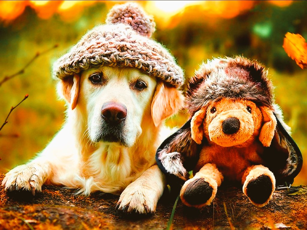 ������� ���� ����� ������ ���� ���� ����� ��� ���������