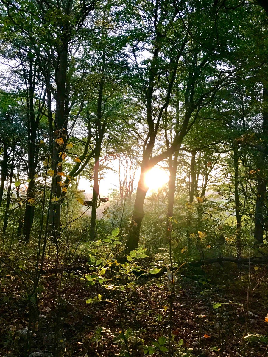 As the sun sets on another fantastic filming Day, that’s a wrap on the penultimate block of Outlander season 5!!!!😁😁😁⁦<a href="/Outlander_STARZ/">Outlander Universe</a>⁩